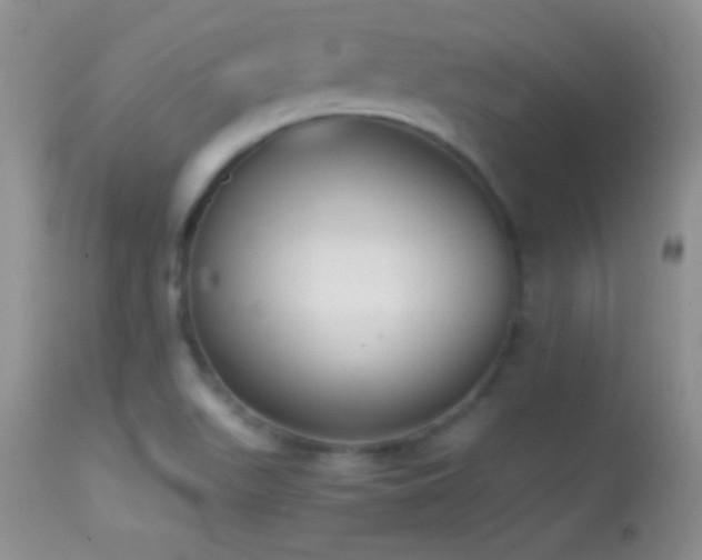 X0000114641511200910201431
