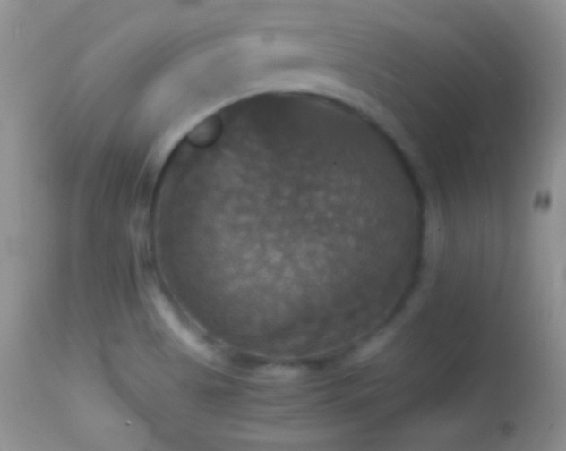 X0000114641513200910201431