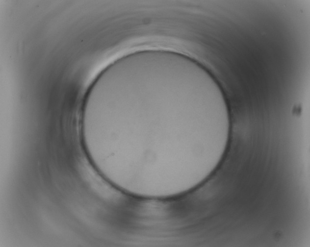 X0000114641514200910201431