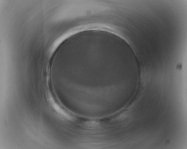 X0000114641515200910201431