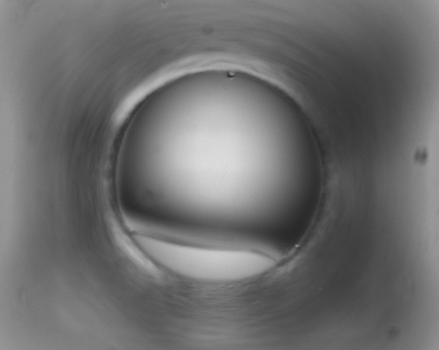 X0000114641518200910201431