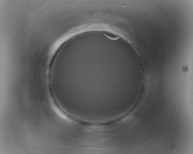 X0000114641519200910201431