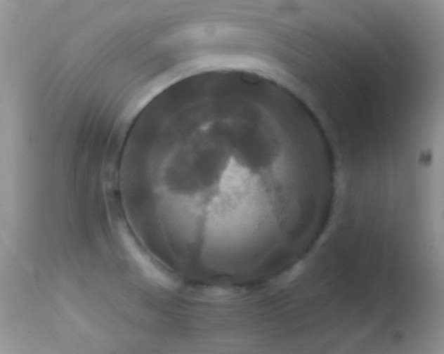 X0000114641521200910201431