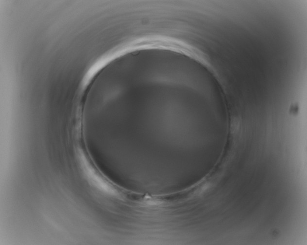 X0000114641522200910201431