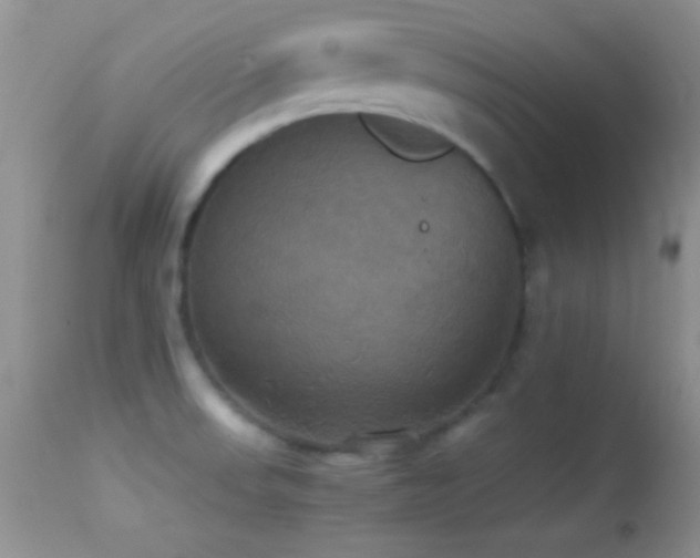 X0000114641523200910201431