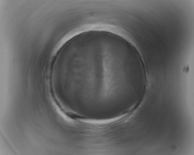 X0000114641525200910201431