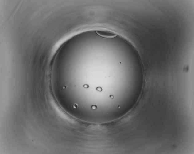X0000114641526200910201431
