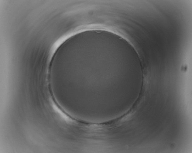 X0000114641527200910201431