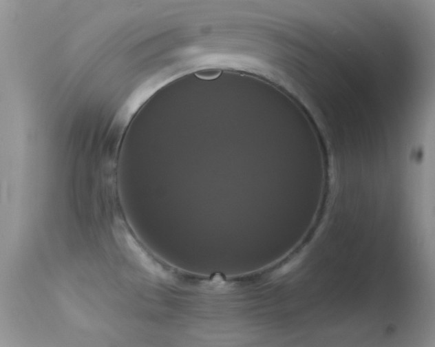 X0000114641529200910201431