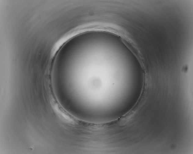 X0000114641530200910201431