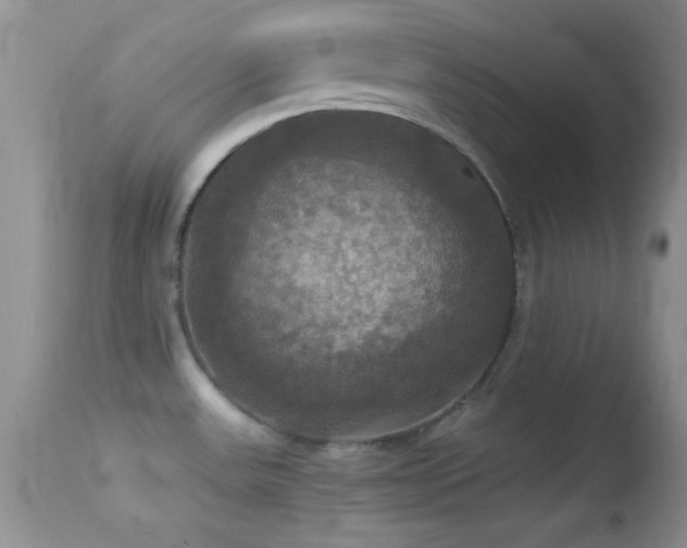 X0000114641531200910201431