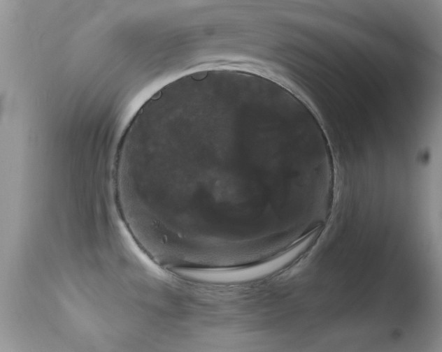 X0000114641533200910201431