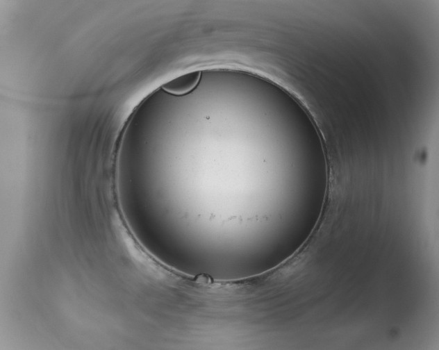 X0000114641534200910201431