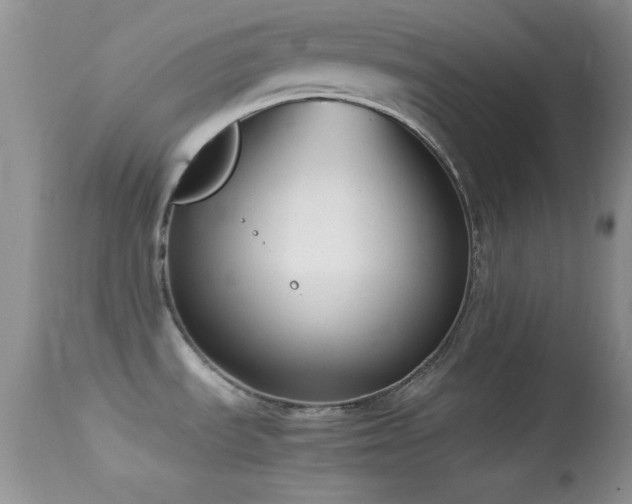 X0000114641535200910201431