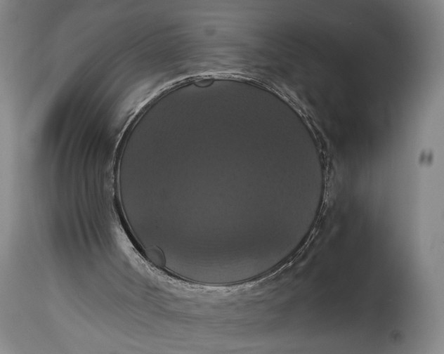 X0000114640002200911101309