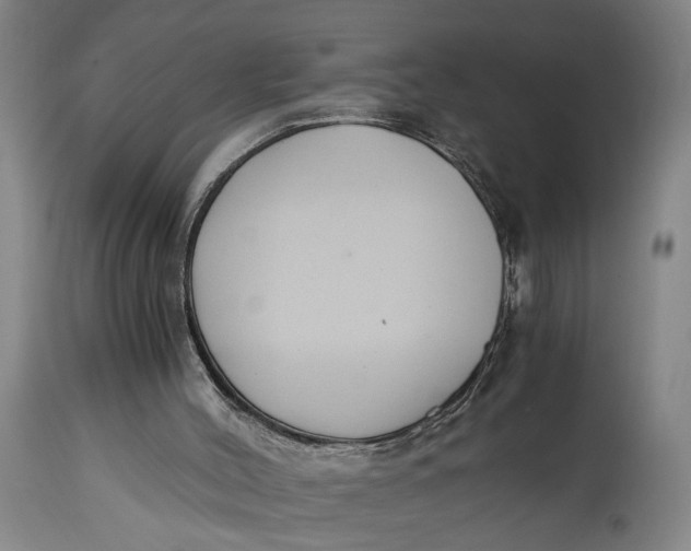 X0000114640004200911101309