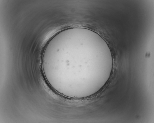 X0000114640005200911101309