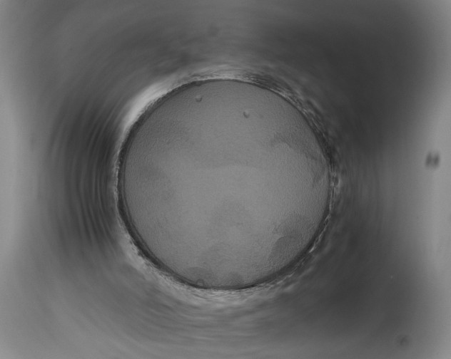 X0000114640006200911101309