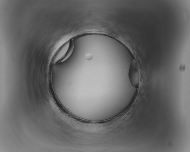 X0000114640008200911101309