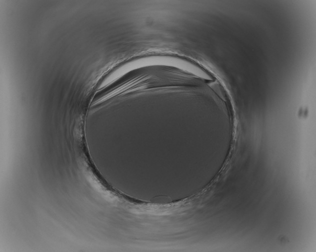 X0000114640009200911101309