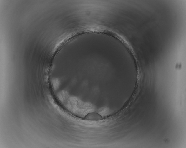 X0000114640010200911101309