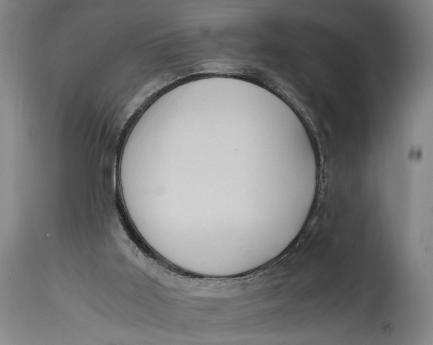 X0000114640011200911101309