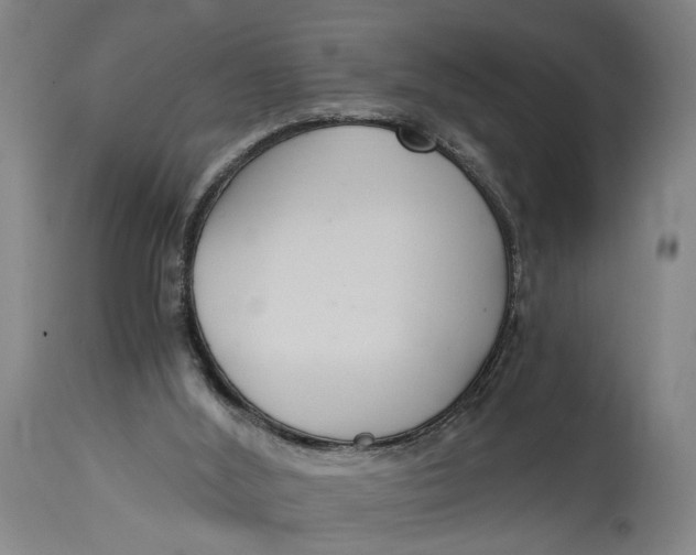 X0000114640012200911101309