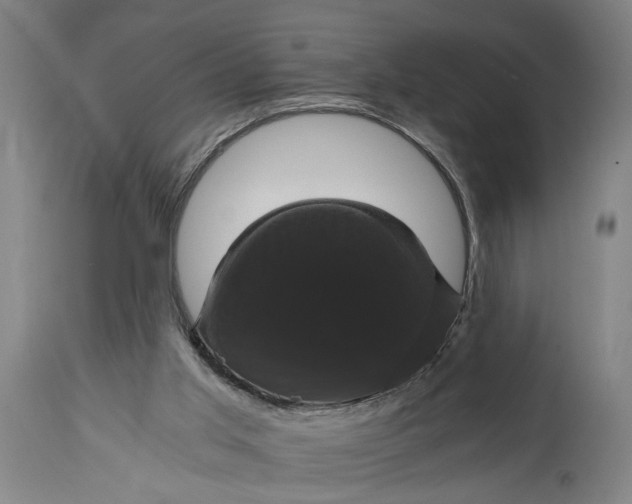 X0000114640013200911101309