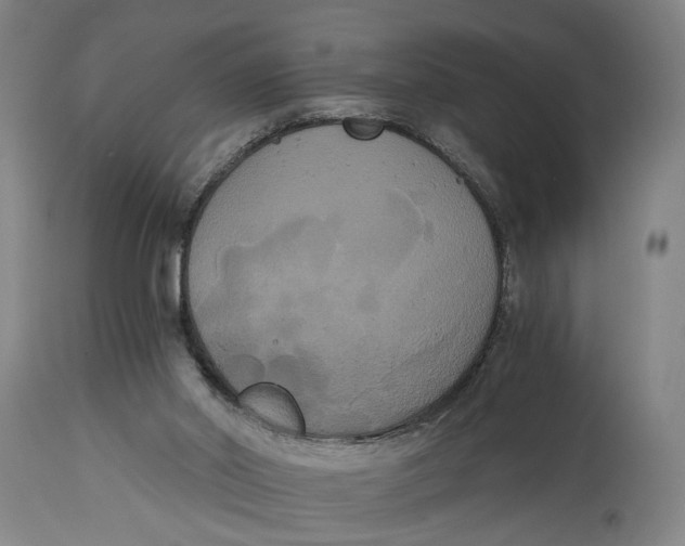 X0000114640014200911101309