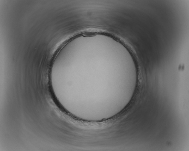 X0000114640015200911101309