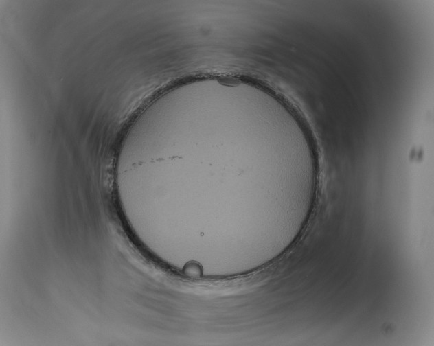 X0000114640017200911101309