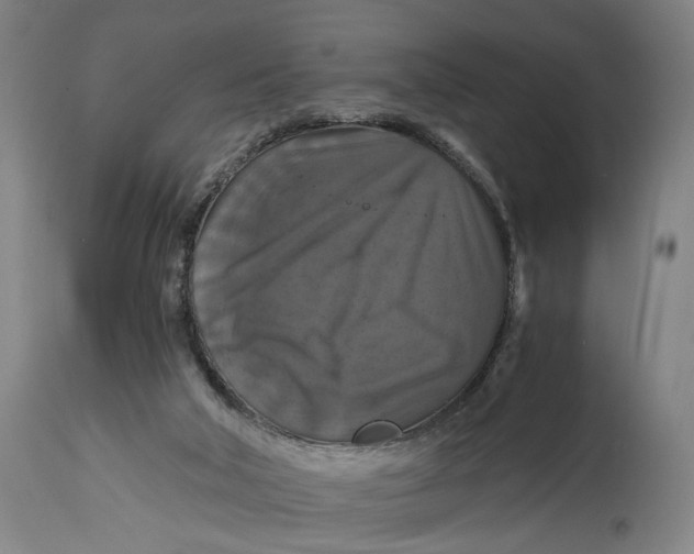 X0000114640018200911101309
