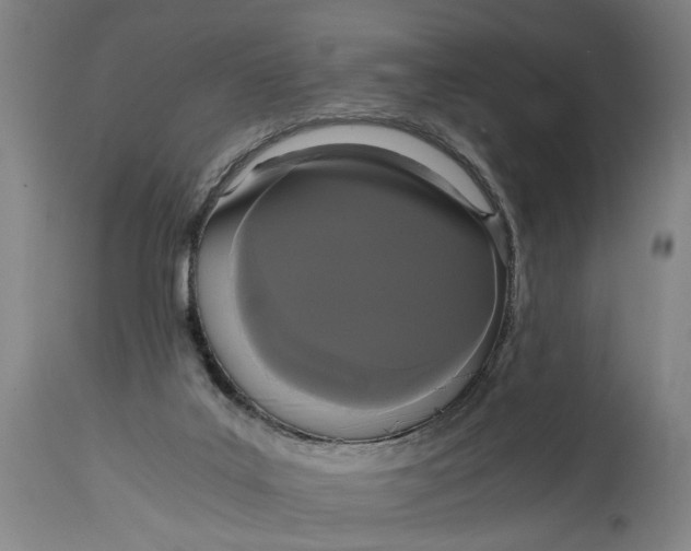 X0000114640019200911101309
