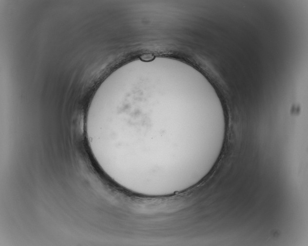 X0000114640021200911101309