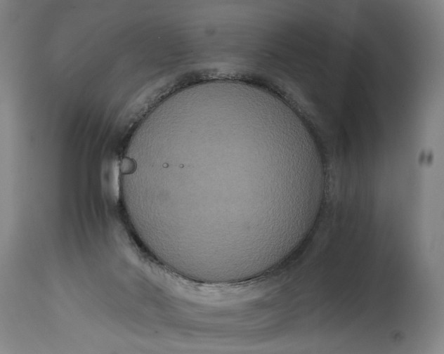 X0000114640022200911101309