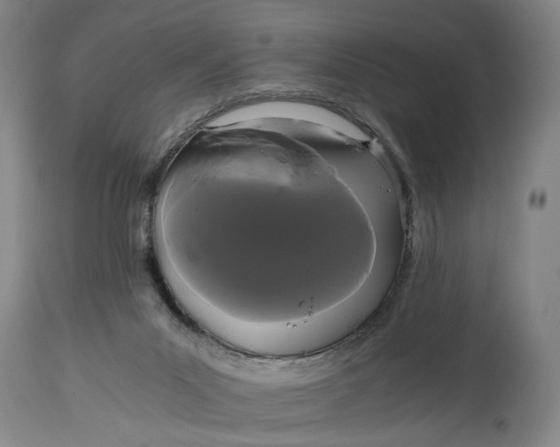 X0000114640023200911101309