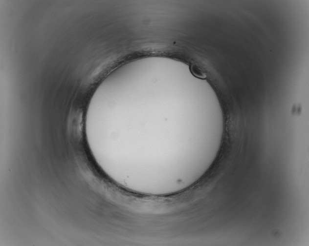 X0000114640024200911101309