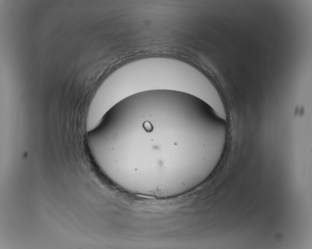 X0000114640025200911101309