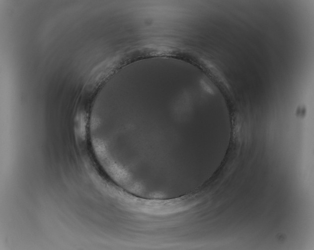X0000114640026200911101309
