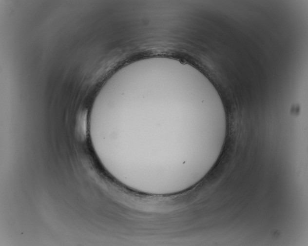 X0000114640028200911101308