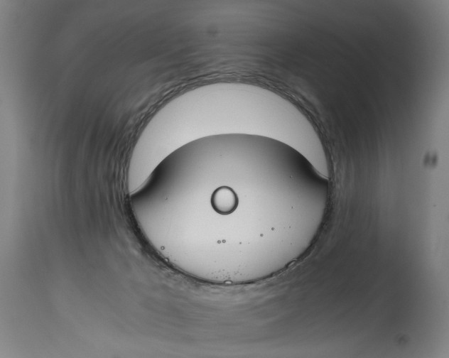 X0000114640029200911101308