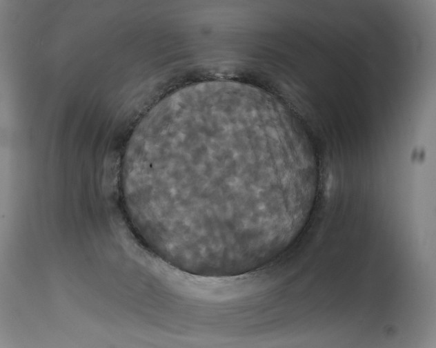X0000114640030200911101308