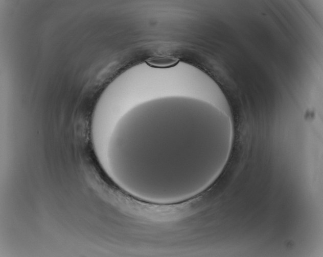 X0000114640031200911101308