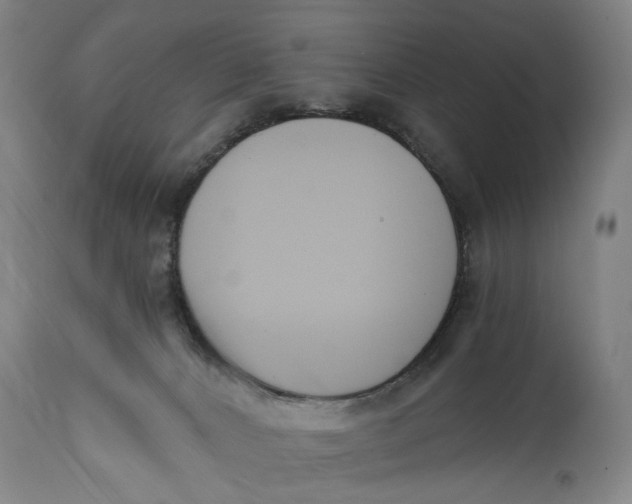 X0000114640032200911101308