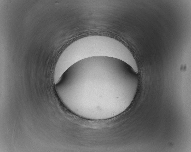 X0000114640033200911101308