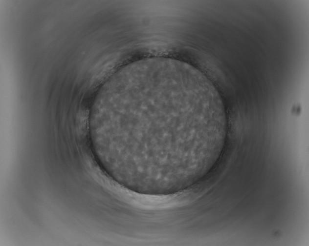 X0000114640034200911101308
