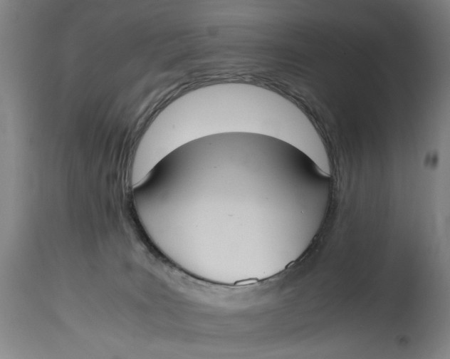 X0000114640035200911101308