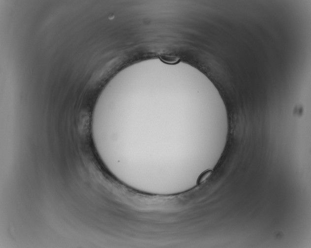 X0000114640036200911101308