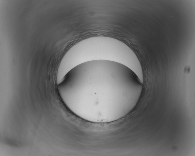 X0000114640037200911101308