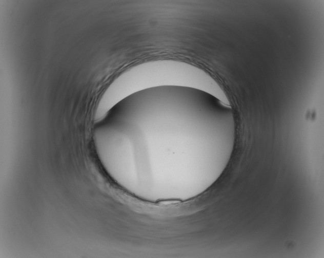 X0000114640039200911101308
